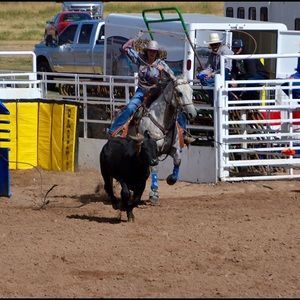 Meet your Posher, Trinitie